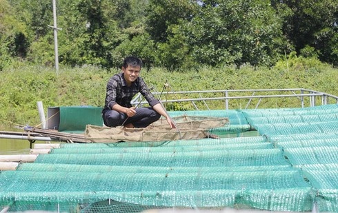 Làm việc trong Tây Nguyên nhưng Võ Văn Sang đã rẽ ngang, về quê hương Quảng Bình xây dựng mô hình trang trại nuôi cá chình. Sau 4 năm, trang trại của anh Sang đã cho thu nhập hàng trăm triệu đồng/năm và là địa chỉ tham quan, học hỏi của nhiều người.